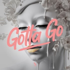 SHAUN BATE & BASSLOVERS UNITED - GOTTA GO